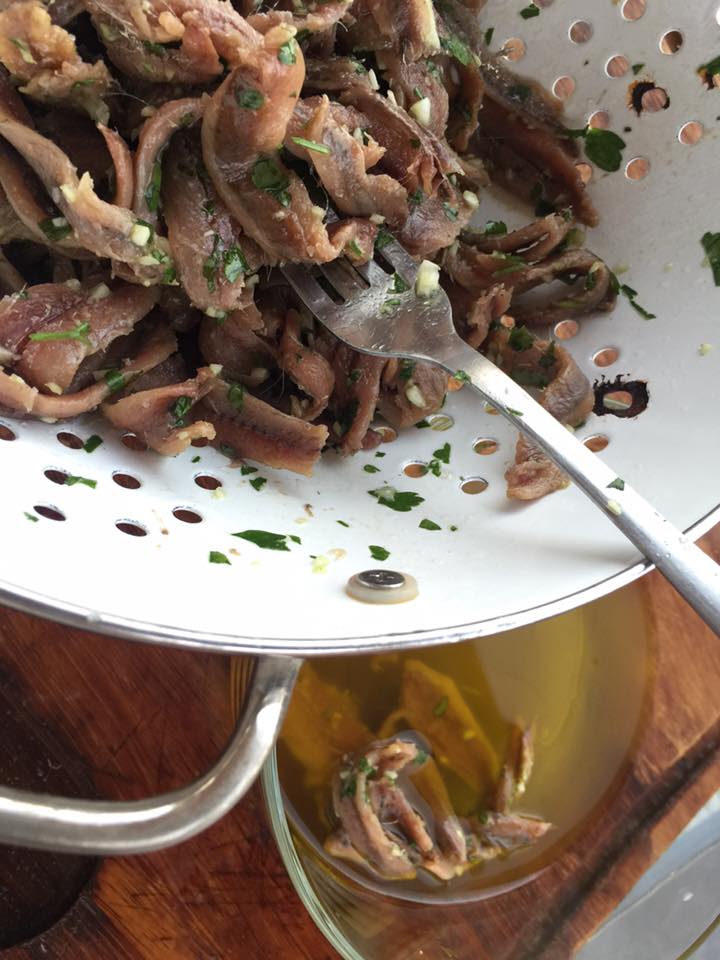 12065816_10153904776380695_7798354382933581201_n