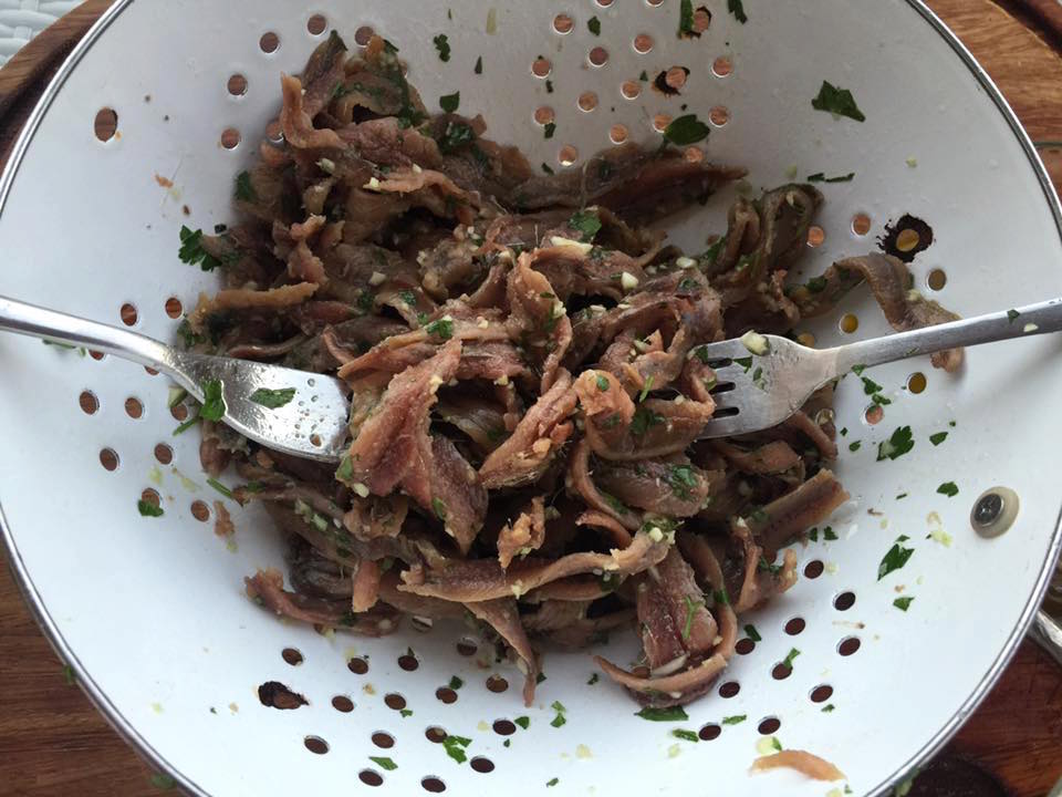 12241668_10153904776775695_5394372901658703416_n